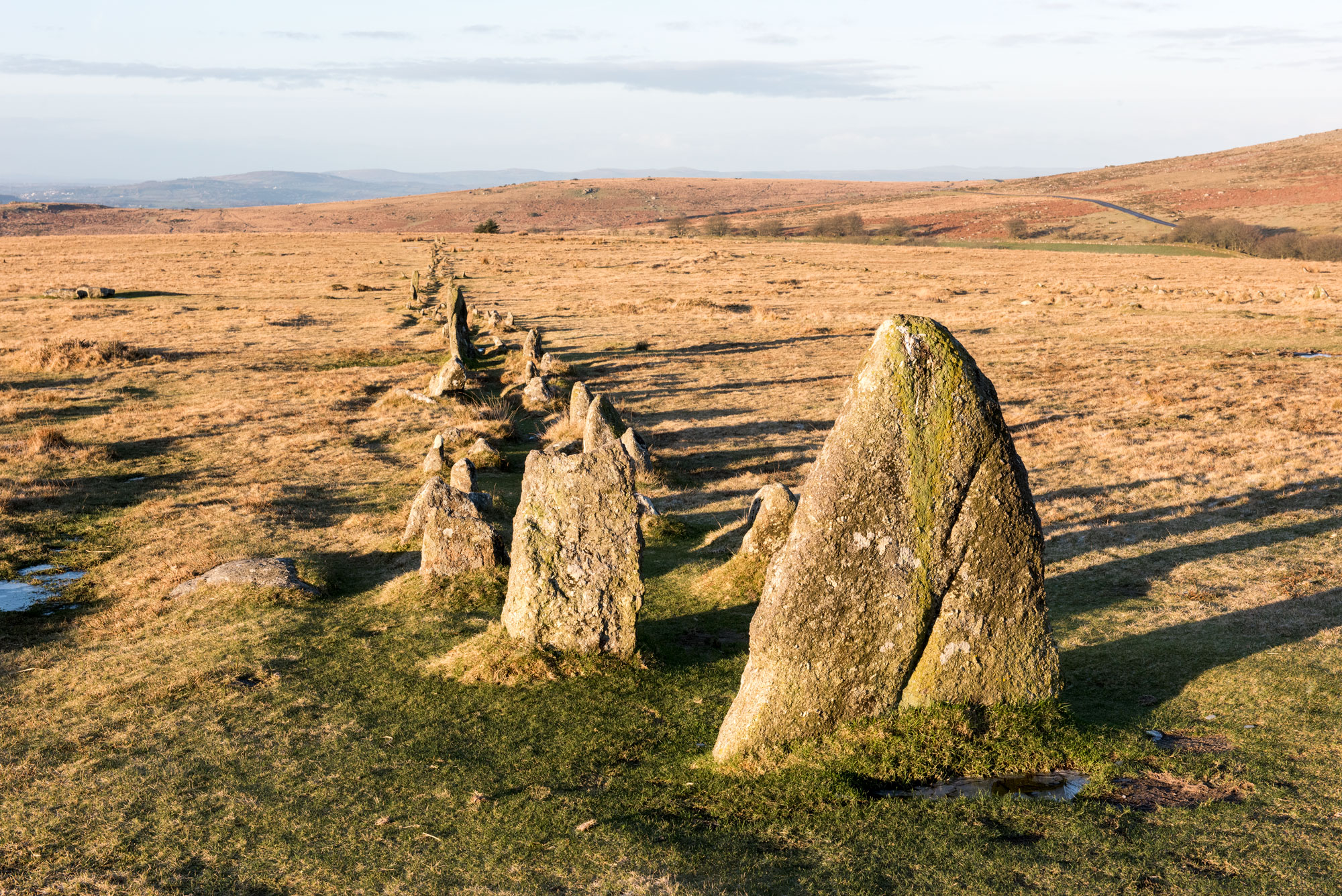 Falconry Experience Something Different