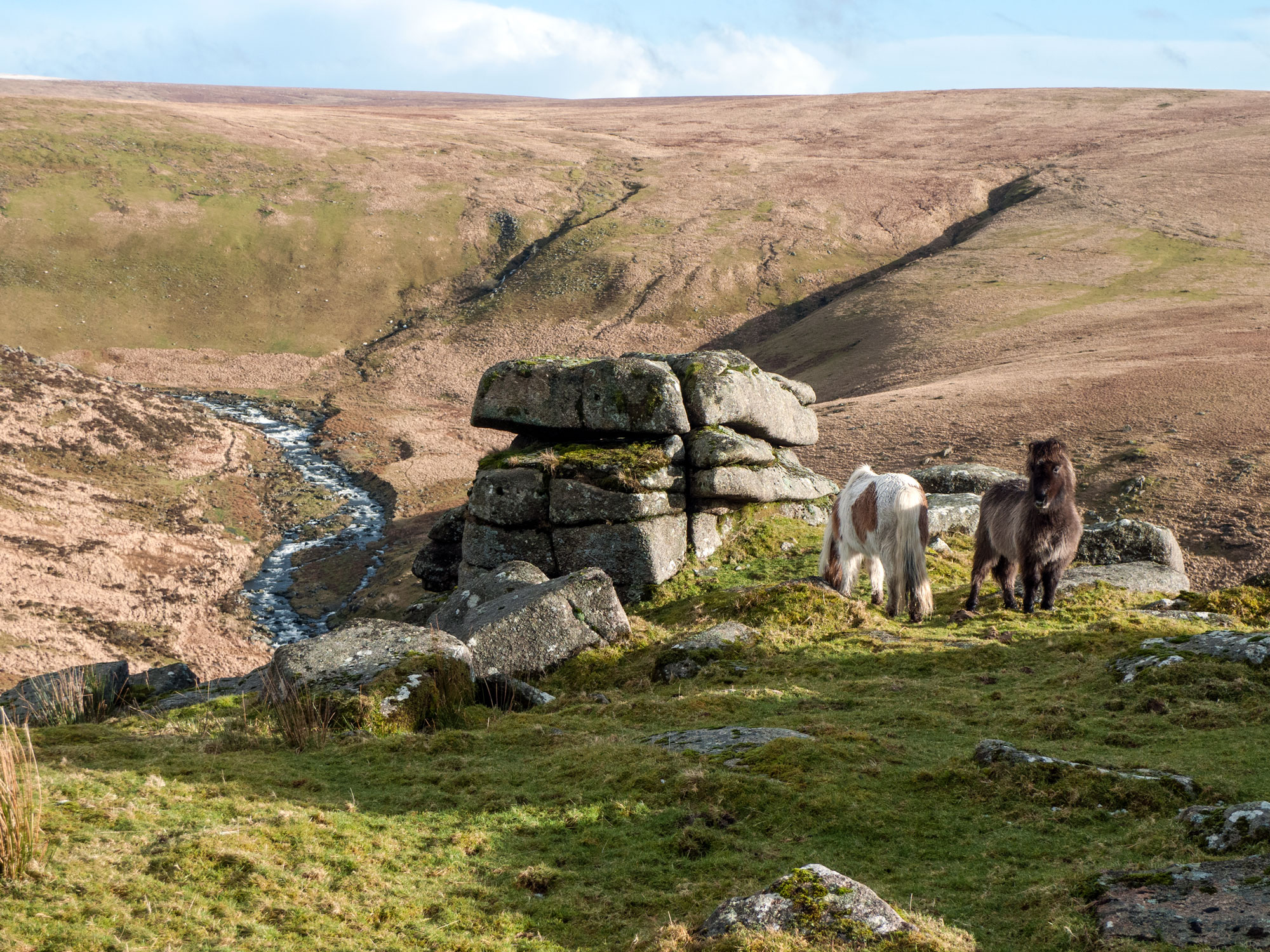Tavy Cleave Dartmoor Experiences
