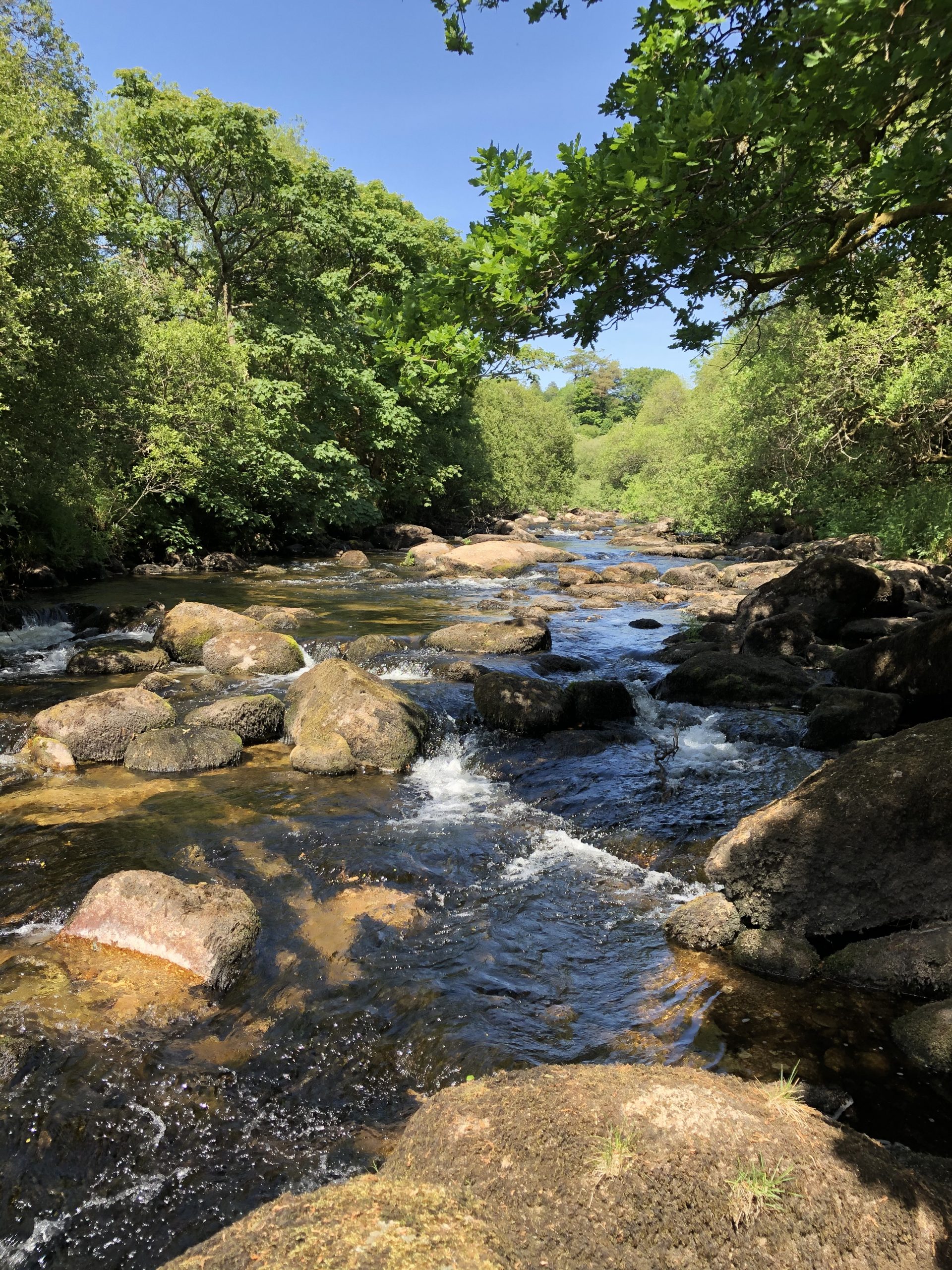 In the water experience wild swimming