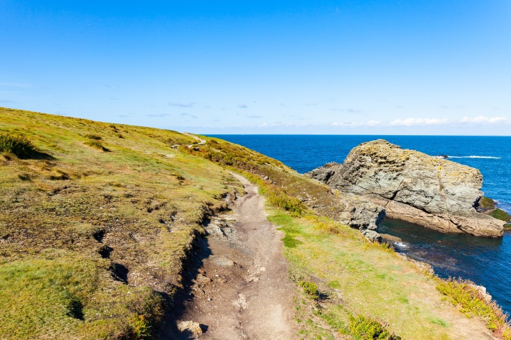 coastal walks devon dog friendly