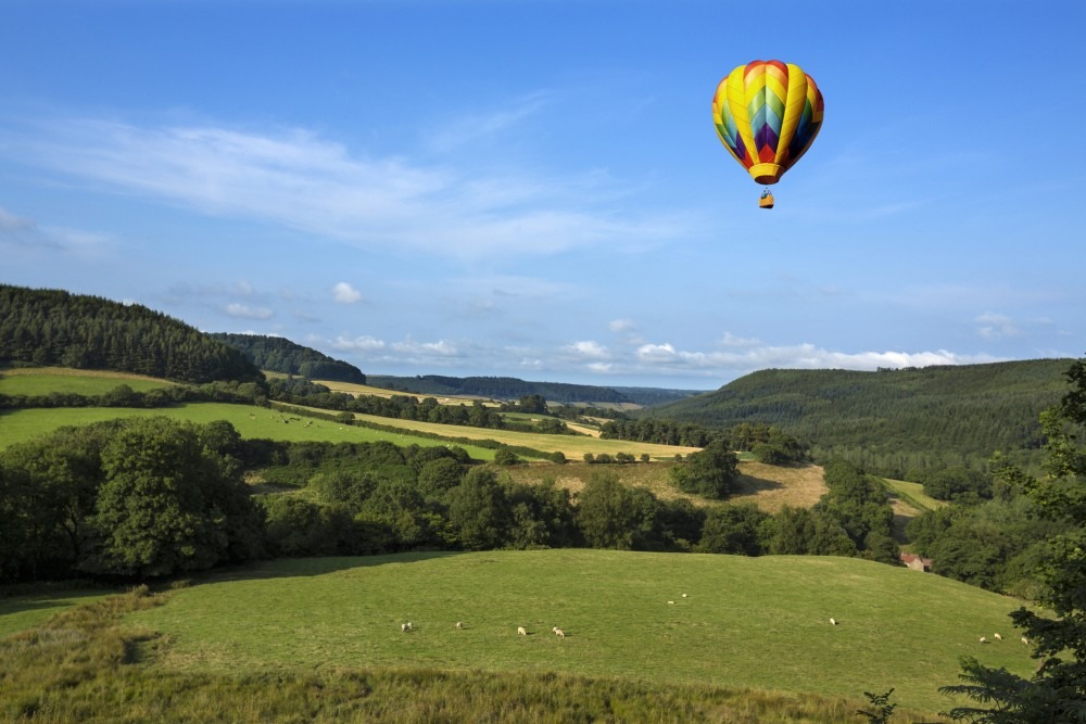 hot air ballooning dartmoor Falconry Experience Something Different